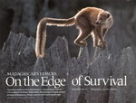 Article First Page: National Geographic Magazine: Vol. ...
