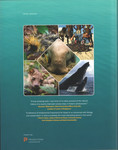 Back Cover: The New Natural History of Madagasc...