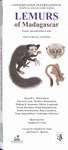 Front Cover: Lemurs of Madagascar: Nocturnal Lem...