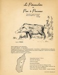 49. Le Potamoch�re ou Porc � Pinceaux / 50. Le Dugong
