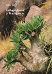 Front Cover: Pachypodiums in Madagascar