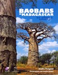 Baobabs de Madagascar