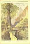 Back Cover: Le Petit Journal: Supplment Illust...