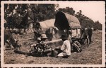 Zebu resting with covered carts and Malagasy people