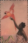 Front: 10. Madagascar - Femme au perroquet...