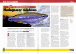 Article: Practical Fishkeeping: Issue 2/Febr...