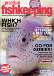 Front Cover: Practical Fishkeeping: Issue 2/Febr...