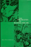 Front Cover: The Primates of Madagascar