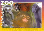 Front: Primates Postcard: Ring-tailed Lemu...