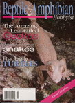 Front Cover: Reptile & Amphibian Hobbyist: Novem...