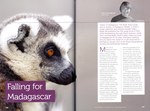 Article First Page: Rainbow Tours: Africa & Madagascar ...