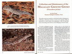 Article First Page: Reptile & Amphibian Magazine: Jan/F...