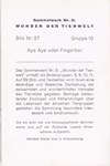 Back: Aye-Aye oder Fingertier