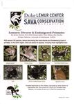 Duke Lemur Center: SAVA Conservation Madagascar