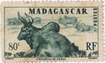 Front: Zebu: 80-Centime Postage Stamp