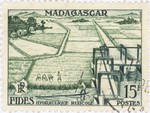 Irrigated Rice Production: 15-Franc Postage Stamp