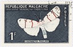 Chionaema pauliani Butterfly: 1-Franc Postage Stamp