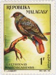 Alectroenas madagascariensis: 1-Franc Postage Stamp