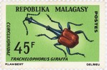 Curculionidae: Trachelophorus giraffa: 45-Franc Postage Stamp