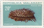 Front: Spondylus: 20-Franc Postage Stamp
