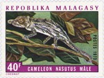 Chameleon nasutus Male: 40-Franc Postage Stamp