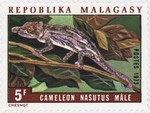 Chameleon nasutus Male: 5-Franc Postage Stamp