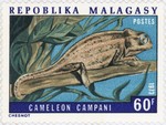 Front: Chameleon campani: 60-Franc Postage...