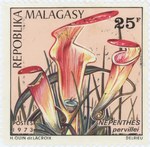 Nepenthes pervillei: 25-Franc Postage Stamp