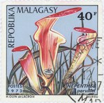 Nepenthes pervillei: 40-Franc Postage Stamp