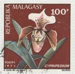 Cypripedium Orchid: 100-Franc Postage Stamp