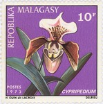 Cypripedium Orchid: 10-Franc Postage Stamp
