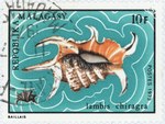 Front: Lambis chiragra: 10-Franc Postage S...