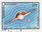 Front: Volva volva: 25-Franc Postage Stamp