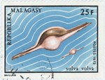 Volva volva: 25-Franc Postage Stamp