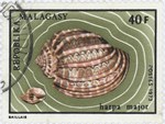 Harpa major: 40-Franc Postage Stamp