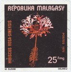 Hibiscus rosa-sinensis: 25-Franc Postage Stamp