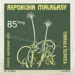 Turraea sericea: 85-Franc Postage Stamp