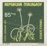 Front: Turraea sericea: 85-Franc Postage S...