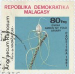 Front: Angraecum ramosum: 80-Franc (16-Ari...