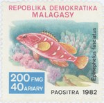 Epinephelus fasciatus: 200-Franc (40-Ariary) Postage Stamp