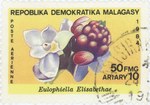 Eulophiella elisabethae: 50-Franc (10-Ariary) Postage Stamp