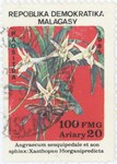 Angraecum sesquipidale and Xanthopan morganii praedicta: 100-Franc (20-Ariary) Postage Stamp