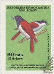 Cyanolanius madagascariensis: 60-Franc (12-Ariary) Postage Stamp