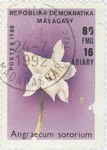 Angraecum sororium: 80-Franc (16-Ariary) Postage Stamp