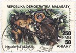 Hapalemur aureus: 250-Franc (50-Ariary) Postage Stamp