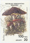 Suillus luteus: 100-Franc (20-Ariary) Postage Stamp