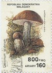 Front: Leccinum scabrum: 800-Franc (160-Ar...