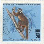 Lemur fulvis collaris Female: 100-Franc (20-Ariary) Postage Stamp