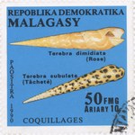 Shells: Terebra dimidiata and Terebra subulata: 50-Franc (10-Ariary) Postage Stamp