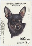 Front: English Toy Terrier: 140-Franc (28-...